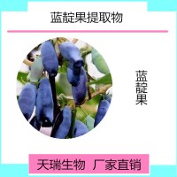 藍靛果提取物現貨藍靛果粉 花青素廠家