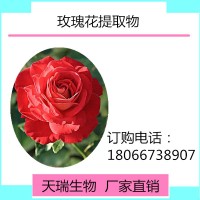 玫瑰花粉 玫瑰花提取液天瑞生物現(xiàn)貨