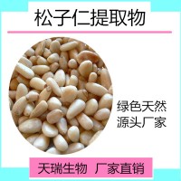松子仁提取物 松子仁速溶粉天瑞生物五谷雜糧粉