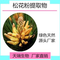 松花粉 破壁松花粉 藥食同源