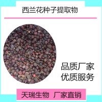 西蘭花種子提取物現貨廠家