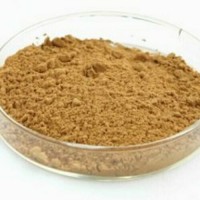 兒茶素 茶多酚