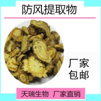 防風(fēng)提取物飼料級(jí)/食品級(jí)原料天瑞生物源頭廠家防風(fēng)粉