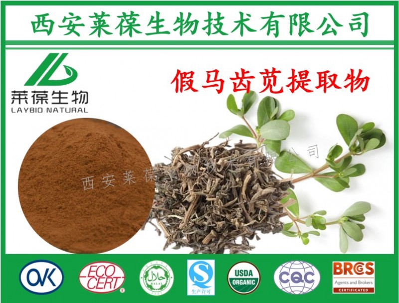 假馬齒莧-1