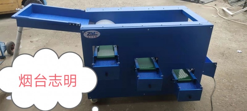 開盤藍莓新機2