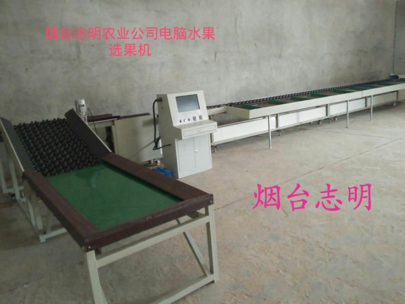 電腦分級機兔子