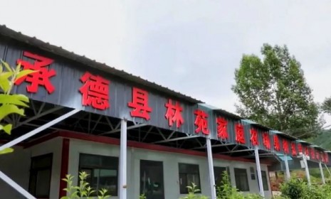 科技特派推動承德生態(tài)產(chǎn)品價值實(shí)現(xiàn) —— 承德縣林苑家庭農(nóng)場助力試點(diǎn)城市建設(shè)