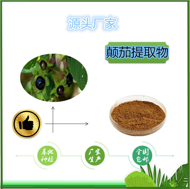 顛茄1_副本