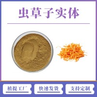 蟲草子實體 支持定制 水溶性粉末 多種規格 食品級