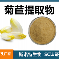菊苣提取物 水溶性菊苣粉 斯諾特生物供應