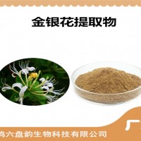 金銀花提取物 金銀花粉 藥食同源原料