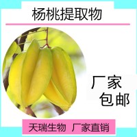 楊桃粉 飲品原料楊桃果汁粉 楊桃速溶粉包郵