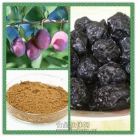 烏梅提取物粉 烏梅浸膏廠家大貨