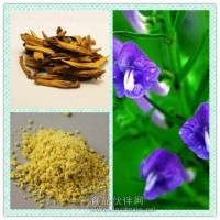 黃芩提取物粉 黃芩浸膏價(jià)格