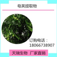 皂莢提取物 皂莢苷廠家批發(fā)規(guī)格可定制