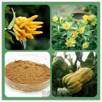 佛手粉 佛手提取物 佛手浸膏價格
