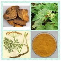 供應：羊蹄提取物|羊蹄大黃|土大黃提取物