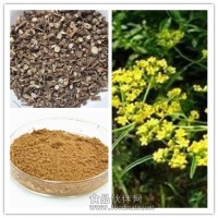柴胡提取物粉 柴胡浸膏廠家