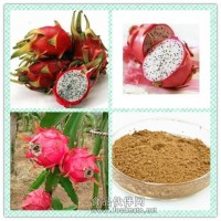 火龍果提取物 火龍果粉