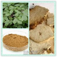 茯神提取物粉 茯神浸膏價格