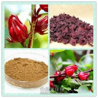 玫瑰茄提取物 玫瑰茄粉