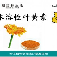 葉黃素5%水溶性葉黃素粉 萬壽菊提取物