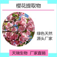 櫻花粉 櫻花濃縮汁粉天瑞生物現貨