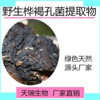 白樺茸提取物 白樺茸粉天瑞生物現貨