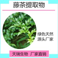 藤茶提取物 藤茶粉天瑞生物現(xiàn)貨