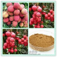 荔枝提取物粉 荔枝浸膏價格與