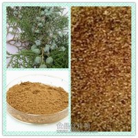 柏子仁提取物粉 柏子仁浸膏價格與