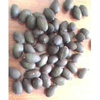 葵樹子提取物