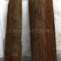 假枝樹皮提取物