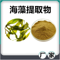 海藻提取物 水溶海藻濃縮速溶粉 斯諾特生物供應(yīng)