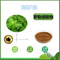 羅勒提取物現貨羅勒浸膏天瑞供應羅勒粉