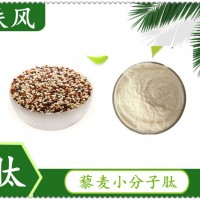 斯諾特藜麥小分子肽廠家供應
