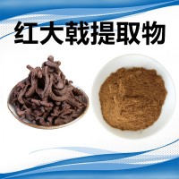 紅大戟提取物 水溶紅大戟濃縮速溶粉 斯諾特生物供應