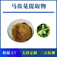 馬齒莧提取物 支持定制 水溶性粉末 多種規格