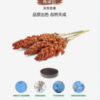 高粱紅色素 GB 1886.32-2015 靖浩生物生產(chǎn)廠家