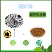 蝮蛇提取物 SC源頭廠家生產批發蝮蛇噴霧干燥粉