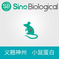 重組小鼠 IL6 / Interleukin-6 蛋白供應(yīng)
