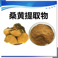 桑黃提取物 水溶性桑黃濃縮速溶粉 斯諾特生物供應