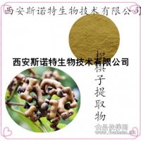 枳?鶴猶崛∥?/strong>