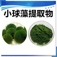 小球藻提取物 水溶性小球藻濃縮粉 斯諾特生物供應(yīng)