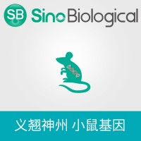 小鼠 PLA2G4A 表達(dá)質(zhì)粒,C-His