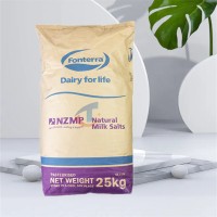 進口乳礦物鹽 食品級乳清鈣