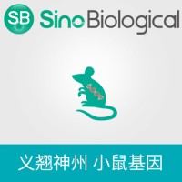 小鼠 p53/TP53/TRP53 表達(dá)質(zhì)粒