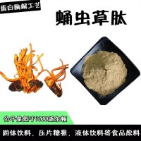 蛹蟲草肽 食品原料