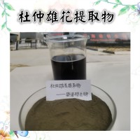 杜仲雄花提取物 食品原料  杜仲雄花粉