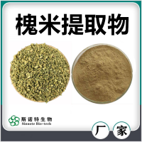 槐米提取物 槐米粉 水溶性好無沉淀 斯諾特生物
